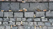 Ordnungsamt Mitte kontrolliert Kippen-Sünder: Kaum Bußgelder