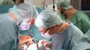Organspende-Expertin: Wartezeit auf Niere beträgt bis zu zehn Jahre