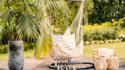 Palmen für Zuhause: Die besten Arten für drinnen und draußen