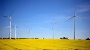 Pankow plant vier neue Windräder – Senat hinkt hinterher