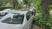 Parken in Treptow-Köpenick: Neue Parkzonen geplant – das müssen Autofahrer wissen