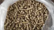 Pelletspreise am 30. Juli 2026: 400,39 Euro pro Tonne – weiter steigend