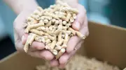 Pelletspreise in Berlin am 28. Juli: Fast 400 Euro pro Tonne