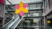 Pepco eröffnet neue Filiale im Forum Köpenick – Angebot für Familien