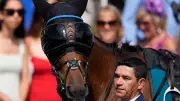 Pferd mit Sonnenbrille: Medizinischer Grund hinter stylischem Auftritt beim Goodwood Cup