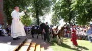 Pferdewallfahrt in Etzelsbach: 150 Rösser erhalten Segen bei großer Hitze