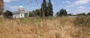 Potsdam verbietet Wasserentnahme aus Seen und Flüssen wegen Trockenheit