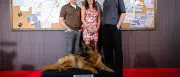 ProSiebenSat.1: Neue Staffel „Kommissar Rex“ und „Joko & Klaas machen Urlaub“