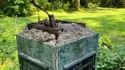 Puschkin-Statue weiter verschwunden – Polizei sucht Zeugen
