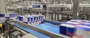 Red Bull Dosenfabrik in Baruth startet 2028: Neuer Zeitplan nach Gerichtsurteil