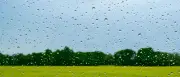 Regen in Berlin und Brandenburg: Wann es trockener wird