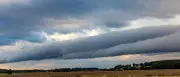 Regen und Gewitter in Berlin und Brandenburg: DWD warnt vor Starkregen