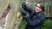 Restauratorin untersucht 117 Jahre alte Dino-Skulpturen in Hagenbeck
