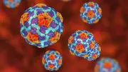 Rewe ruft Tiefkühl-Beerenmischung wegen Hepatitis-A-Viren zurück