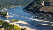 Rhein-Niedrigwasser: Schifffahrt kämpft mit Rekordtief im Juli