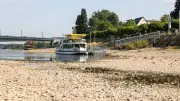 Rhein-Pegel fällt dramatisch: Schifffahrt vor dem Aus?