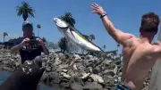 Riesenrobbe klaut Angler seinen Riesenfisch: Mega-Pech beim Angeln