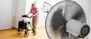 RKI: Bereits über 800 Hitzetote in Deutschland vor der extremen Hitzewelle