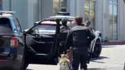 Robo-Taxi stoppt betrunkene Jugendliche und alarmiert Polizei in San Mateo