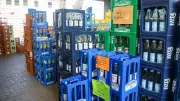 Rotkehlchen brüten in Getränkemarkt in Bottrop – drittes Nest im Sommer