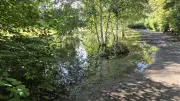 Rätsel um überfluteten Studenten-Teich in Berlin-Dahlem gelöst
