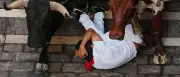 San-Fermín-Fest: 13 Verletzte bei dritter Stierhatz in Pamplona