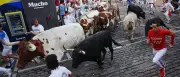 San-Fermín-Fest: Fünf Verletzte bei erster Stierhatz in Pamplona