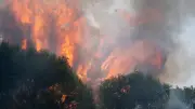 Schlimmster Brand in Madrids Geschichte: 19.000 Menschen betroffen