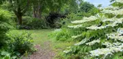 Schlossgarten Petzow: Ex-Rewe-Manager über 100 Jahre alte Weinstöcke und Feengarten