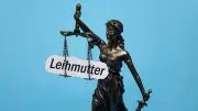 Schockierende US-Leihmutter-Verträge: BILD deckt auf