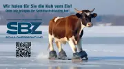 Schuldnerberatung Hameln: Diskreter Weg aus der Schuldenfalle im Weserbergland
