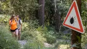 Schutz vor Zecken: So haben die Blutsauger kaum eine Chance