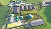 Schweinezucht-Riese Geestferkel meldet Insolvenz an