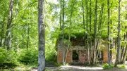 Sechs Skelette in Görings Haus: Archäologen lösen Rätsel der Toten in Hitlers Wolfsschanze