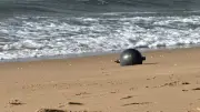 Sechs „Space Balls“ an australischem Strand angespült – Weltraumschrott-Alarm