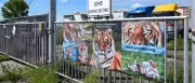 Sechs Tiger aus privater Haltung bei Leipzig abtransportiert