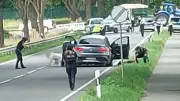 Sechs Tote bei Amoklauf in Mutter-Kind-Heim in Stade