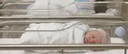 Seltene Vierlingsgeburt: Eineiige Vierlinge in Australien geboren