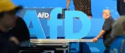 Sicherheitspolitiker fordern Konsequenzen wegen AfD-Nähe zu Russland