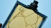 Sieben Männerparfums für jeden Anlass: Stilvoll und alltagstauglich