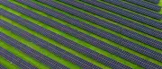 Solarstrom-Rekord: Ein Drittel des Stroms in Deutschland aus Sonnenkraft