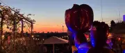Sommer in Berlin: Drei Dachterrassen, die das Lebensgefühl prägen