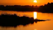 Sommerwetter in Berlin und Brandenburg: Waldbrandgefahr bleibt hoch