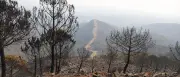 Spanien: Zwölf Tote bei Waldbrand in Andalusien – Beispiellose Tragödie