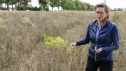 SPD-Ministerin fordert höheren Wasserpreis in Brandenburg