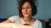 Spinnenphobie besiegt: Wie ich in sechs Stunden meine Angst verlor