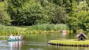 Spreewald: Erste Wasserroute nach Eichenprozessionsspinner-Befall wieder offen