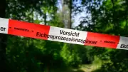 Spreewald: Giftraupen legen Wasserwege lahm – Minister beraten vor Ort
