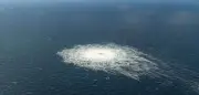 Sprengung der Ostsee-Pipelines: Deutschland klagt Ukrainer an – fatales Signal