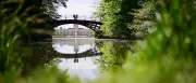 Stiftung warnt: Trockene Bäume in Parks gefährden Besucher